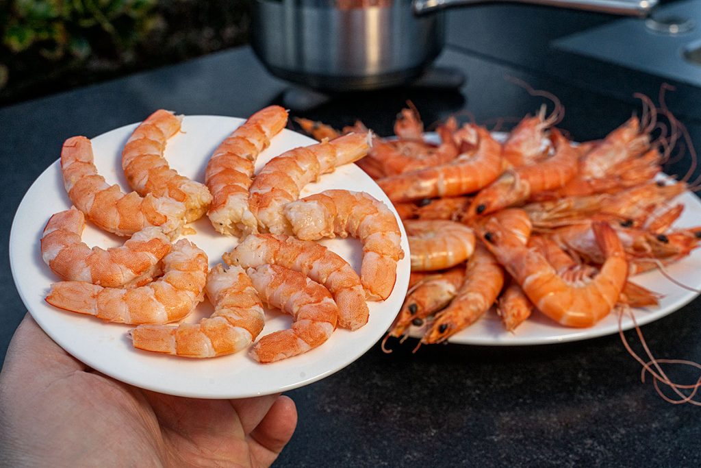 Garnelen-Pizza mit Tomaten u. Basilikum - bigBBQ